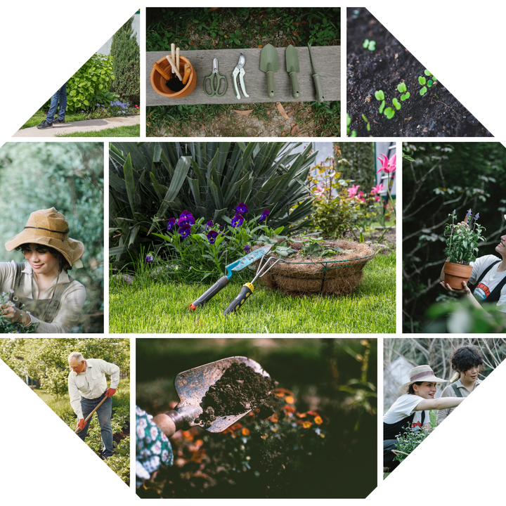 🌿 Garden & Outdoor