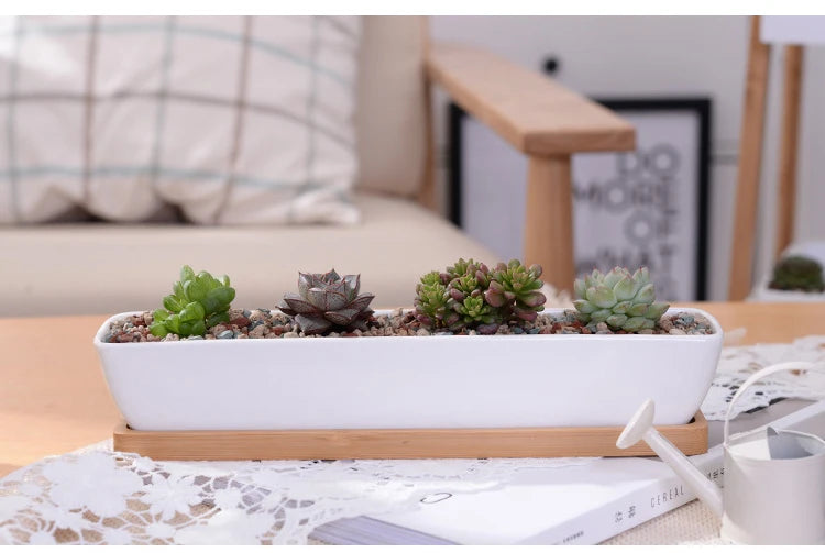 Long Rectangle White Ceramic Succulent Planter Pot with Bamboo Tray