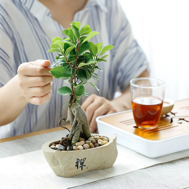 Creative Retro Wind Non-porous Perforated Plant Flower Pot