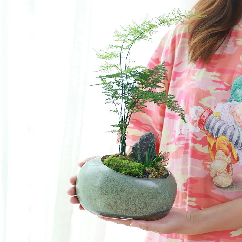 Retro ceramic small flower pot creative desktop home succulent green plant