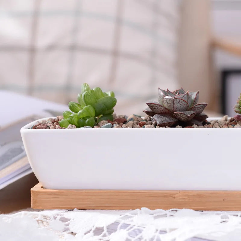 Long Rectangle White Ceramic Succulent Planter Pot with Bamboo Tray