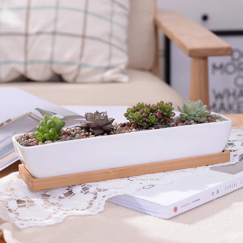 Long Rectangle White Ceramic Succulent Planter Pot with Bamboo Tray