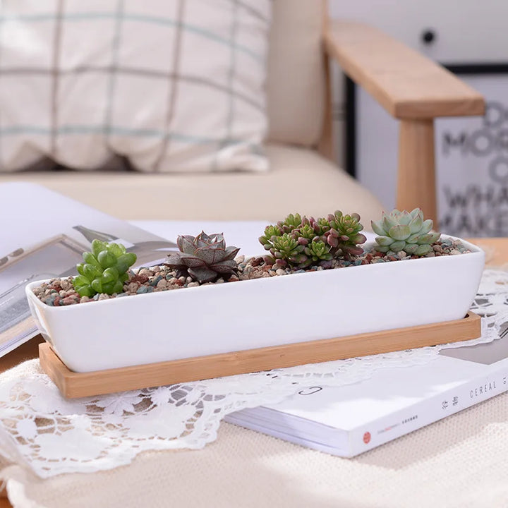 Long Rectangle White Ceramic Succulent Planter Pot with Bamboo Tray