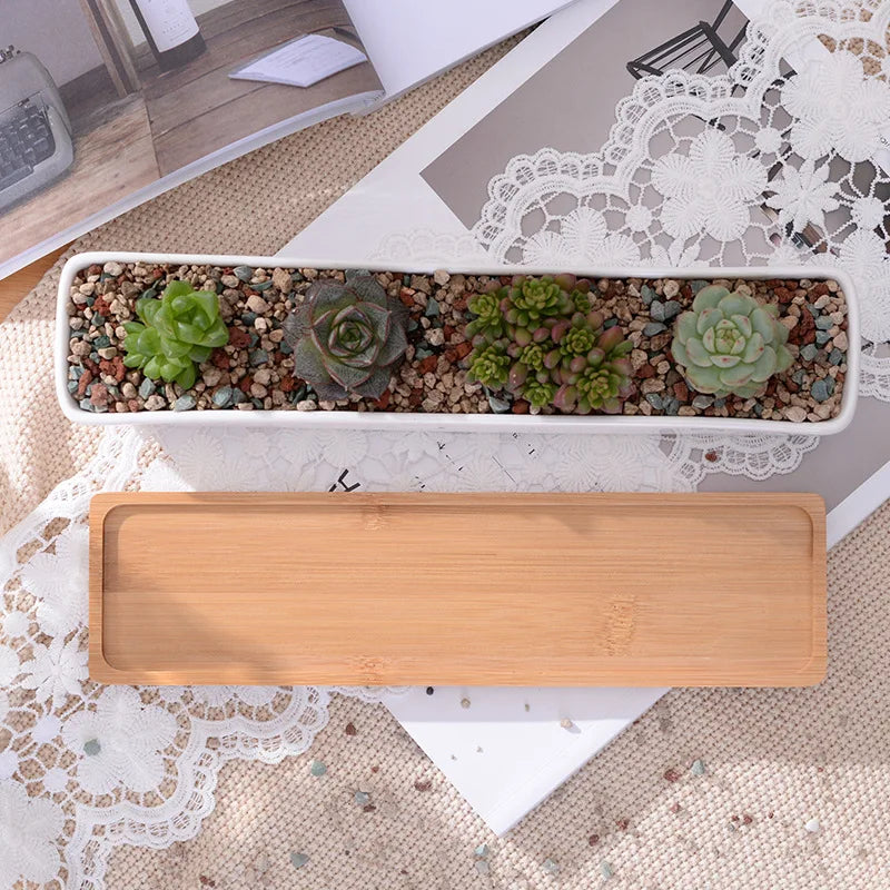 Long Rectangle White Ceramic Succulent Planter Pot with Bamboo Tray