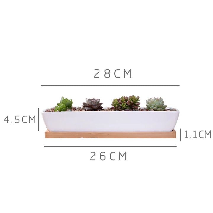 Long Rectangle White Ceramic Succulent Planter Pot with Bamboo Tray