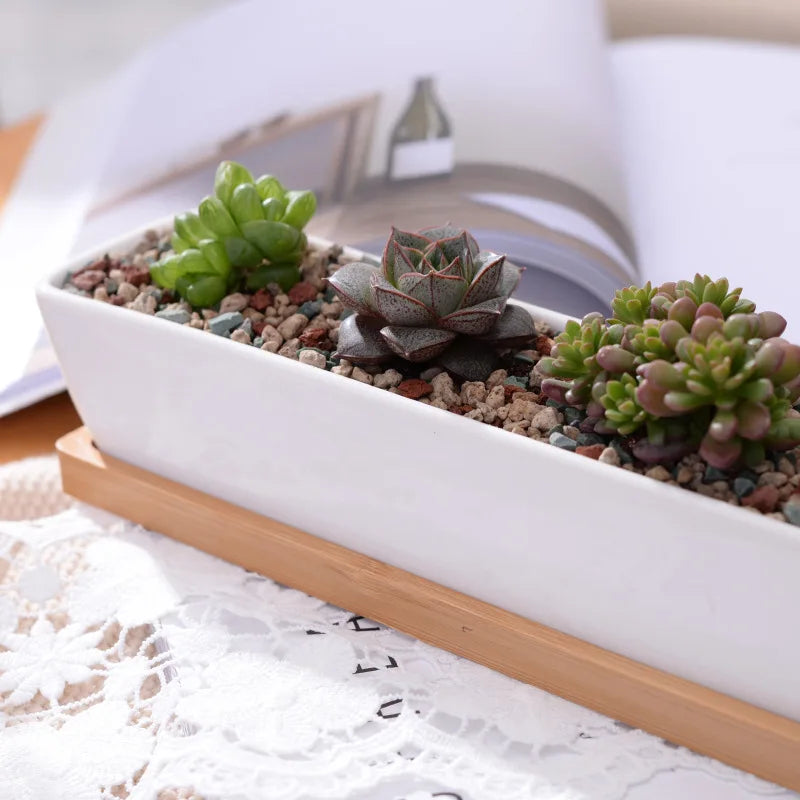 Long Rectangle White Ceramic Succulent Planter Pot with Bamboo Tray