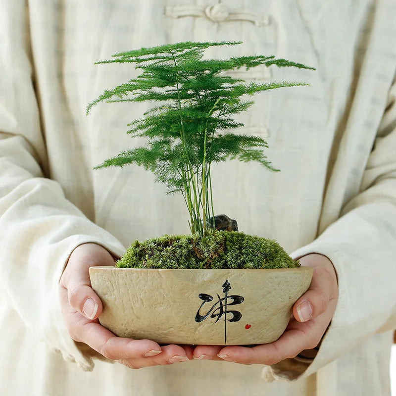 Creative Retro Wind Non-porous Perforated Plant Flower Pot