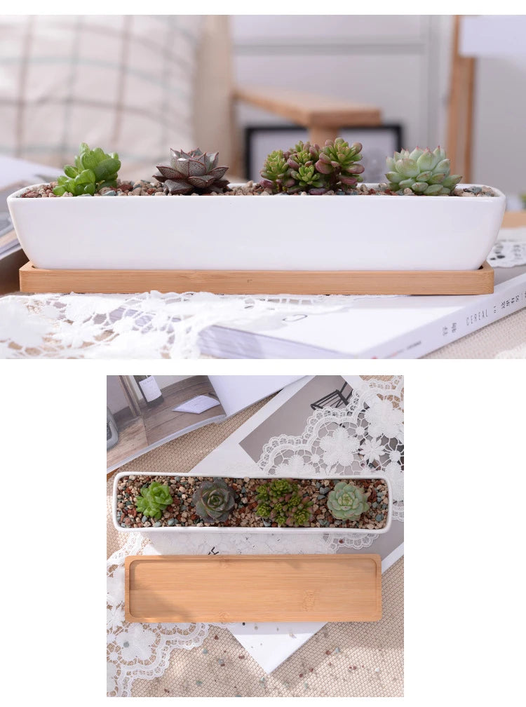 Long Rectangle White Ceramic Succulent Planter Pot with Bamboo Tray