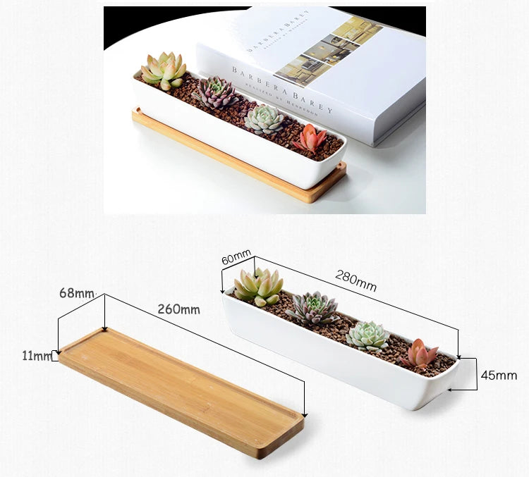Long Rectangle White Ceramic Succulent Planter Pot with Bamboo Tray