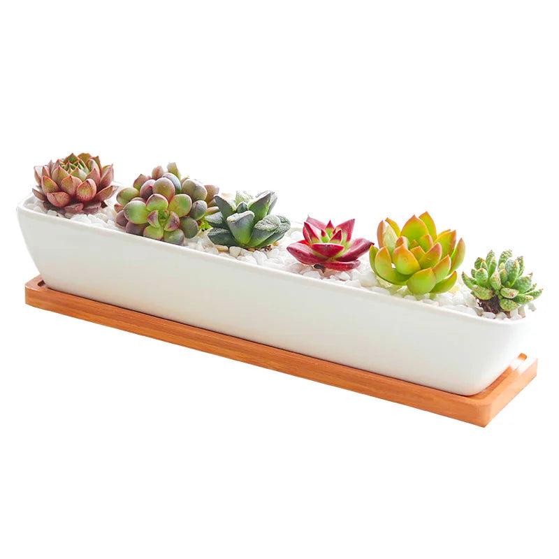 Long Rectangle White Ceramic Succulent Planter Pot with Bamboo Tray