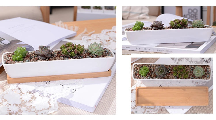 Long Rectangle White Ceramic Succulent Planter Pot with Bamboo Tray