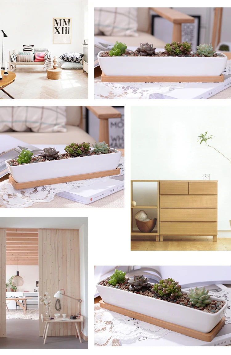 Long Rectangle White Ceramic Succulent Planter Pot with Bamboo Tray