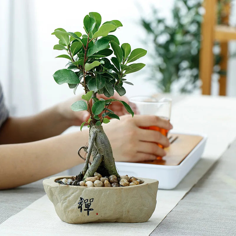 Creative Retro Wind Non-porous Perforated Plant Flower Pot