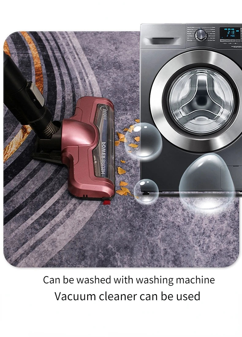 Carpets for Living Room Decoration Washable Floor Lounge Rug Large Area