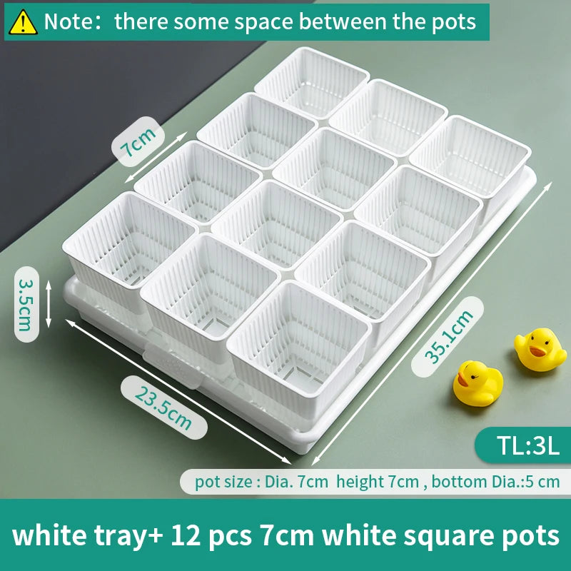 Meshpot Succulent Pots Succulent Planters with Tray