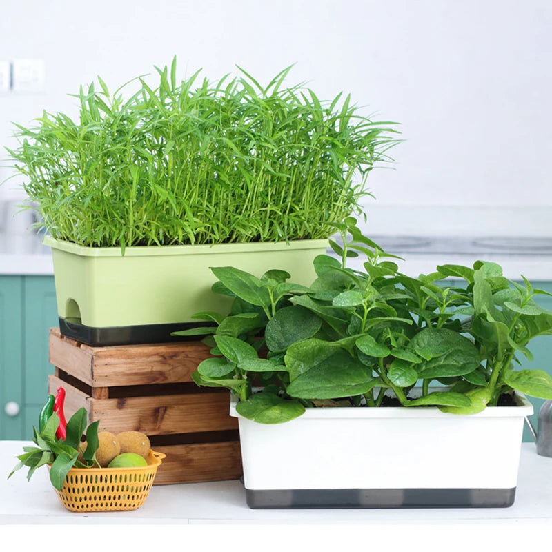 Second Generation Thickened Hollen Pot