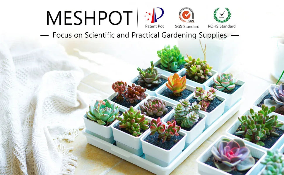 Meshpot Succulent Pots Succulent Planters with Tray