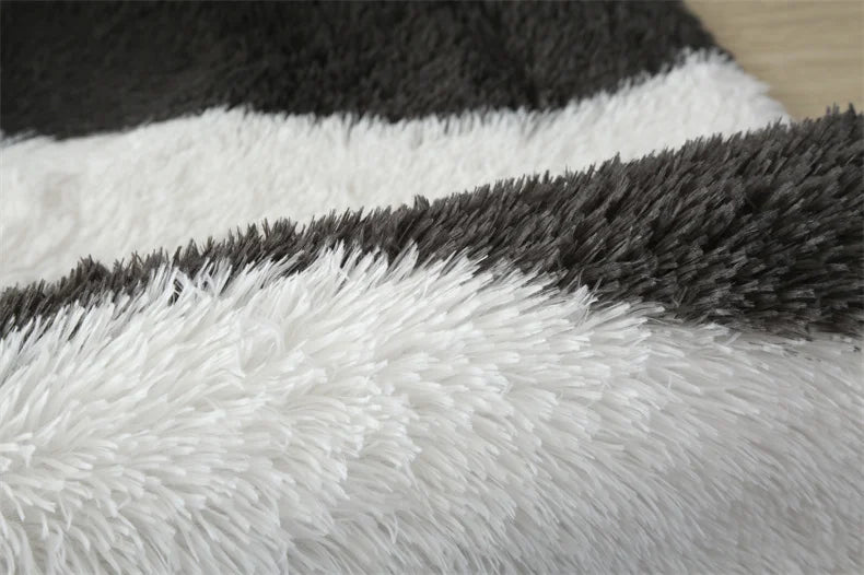 Premium Fluffy Area Rug Cute Shag Carpet Extra Soft and Shaggy Carpets