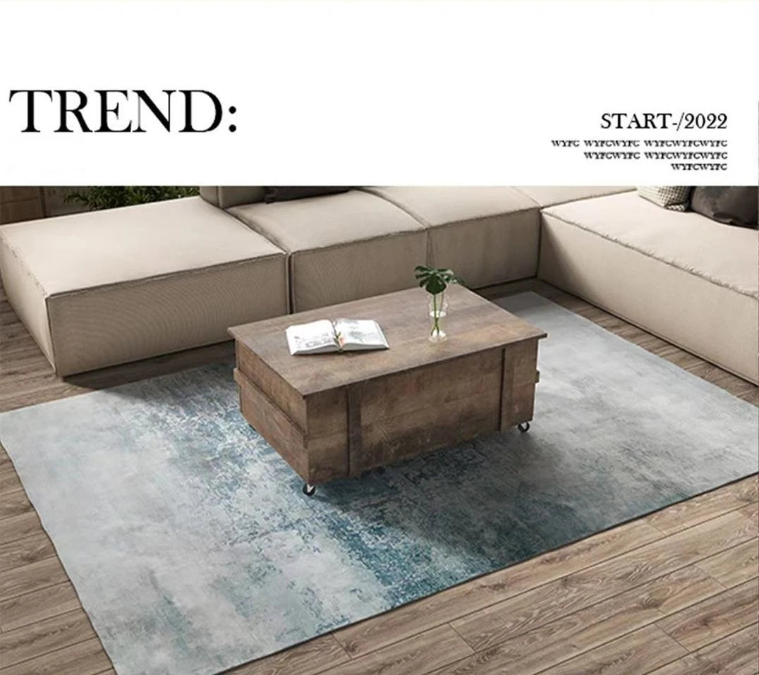 Carpets for Living Room Decoration Washable Floor Lounge Rug Large Area