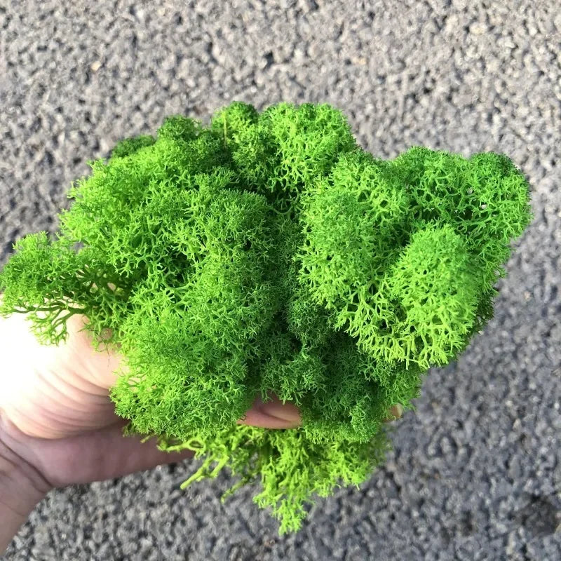 500/30G Eternal Artificial Green Moss Lawn Mini Landscape Fake Grass