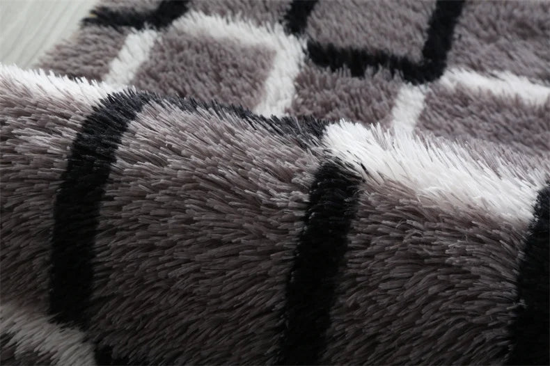 Premium Fluffy Area Rug Cute Shag Carpet Extra Soft and Shaggy Carpets