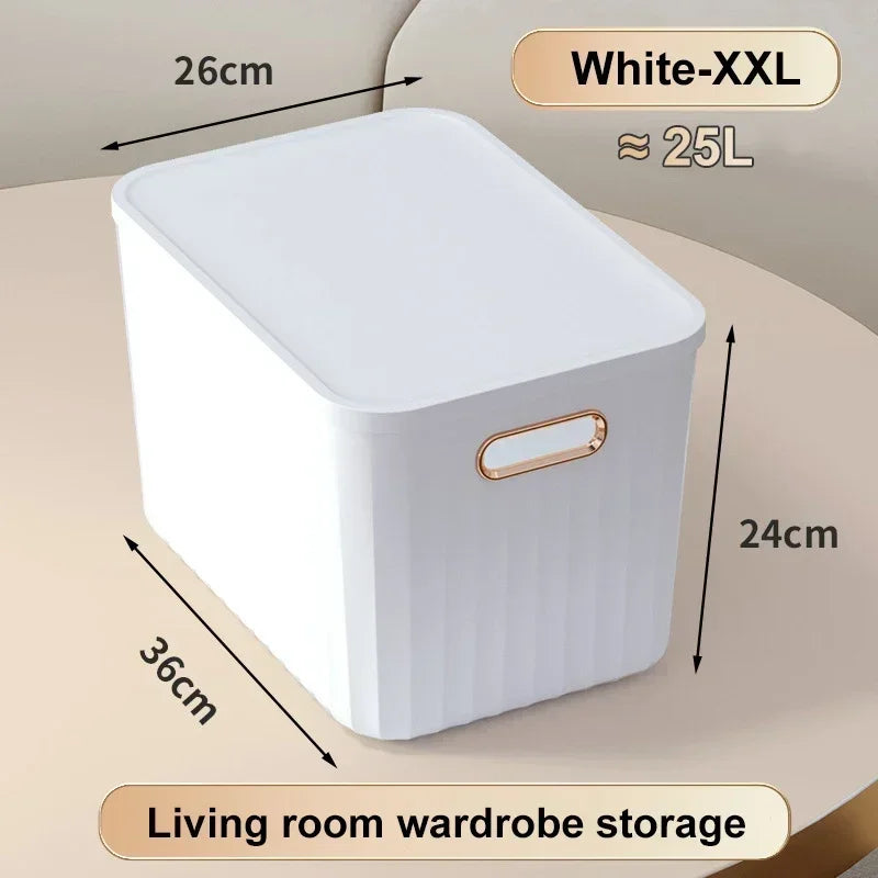 Sundries Storage Boxes with Lid Light Luxury Snacks Toys Storage