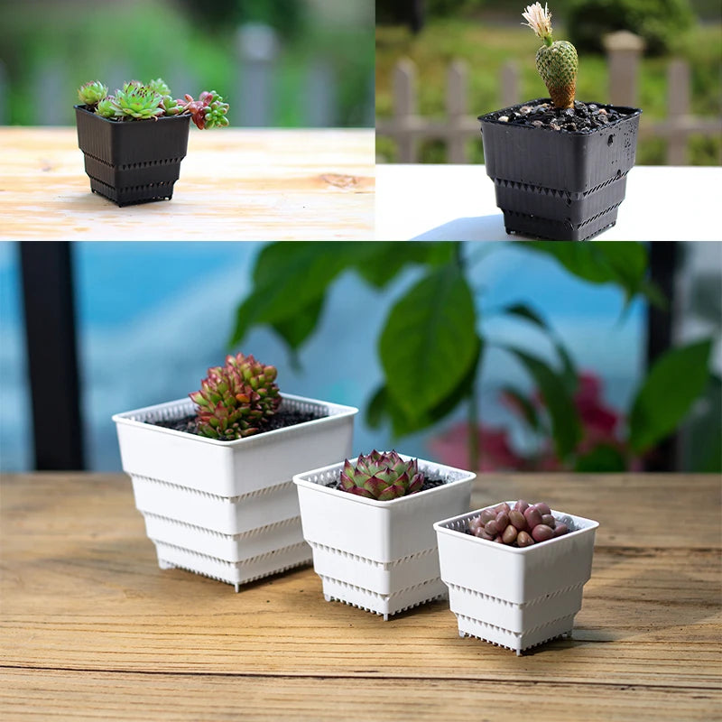 6 Pack Square Succulent Pots - Air Prunning Plastic Planters for Cactus