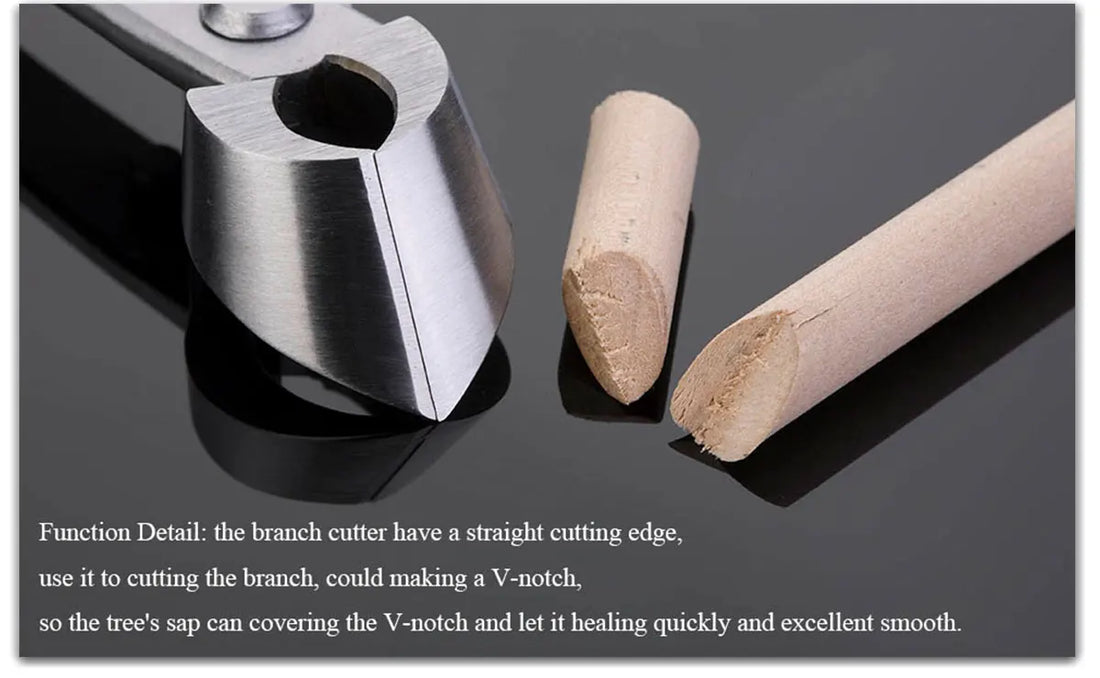 professional grade bonsai tools branch cutter straight edge cutteri