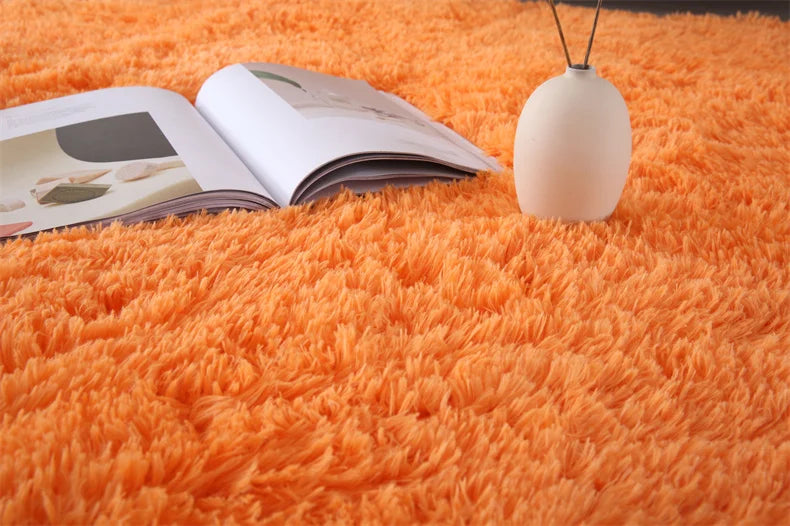 Premium Fluffy Area Rug Cute Shag Carpet Extra Soft and Shaggy Carpets