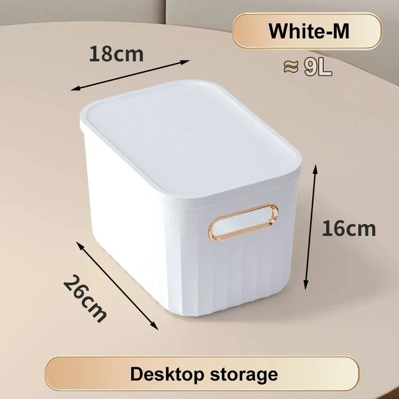 Sundries Storage Boxes with Lid Light Luxury Snacks Toys Storage