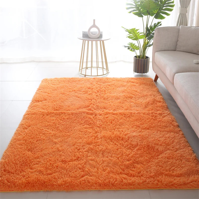 Premium Fluffy Area Rug Cute Shag Carpet Extra Soft and Shaggy Carpets