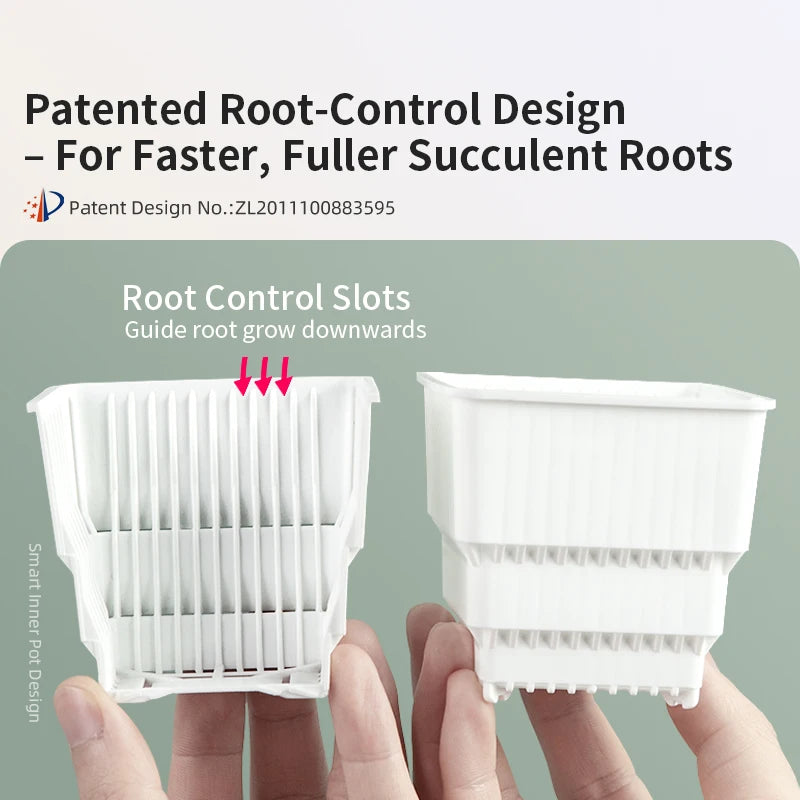 6 Pack Square Succulent Pots - Air Prunning Plastic Planters for Cactus