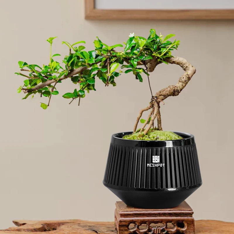 Meshpot Bonsai Pots with Drainage Tray and Excellent Airflow