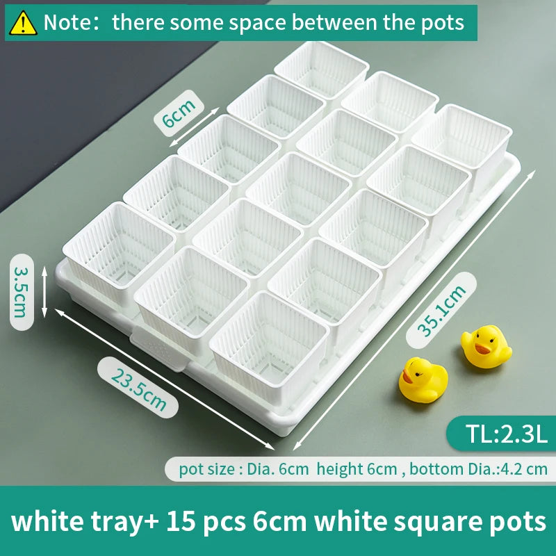 Meshpot Succulent Pots Succulent Planters with Tray