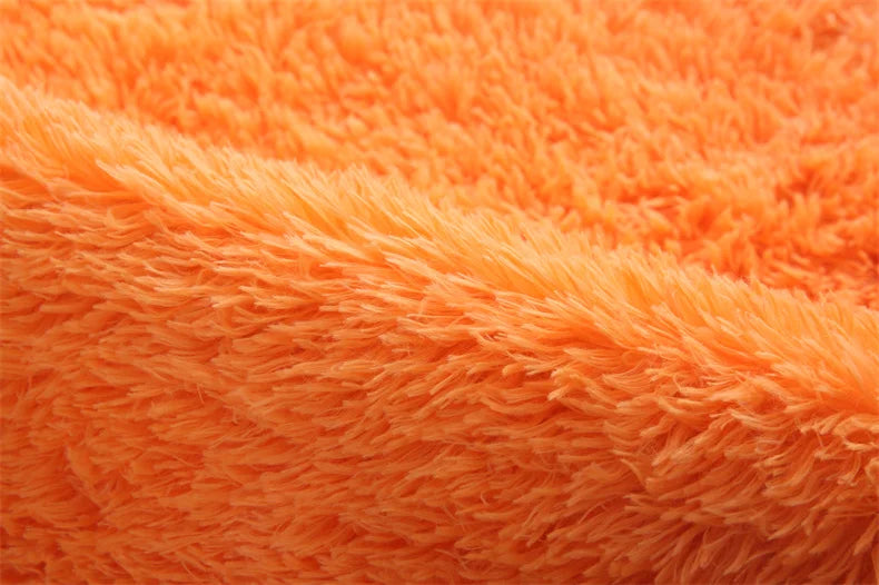 Premium Fluffy Area Rug Cute Shag Carpet Extra Soft and Shaggy Carpets