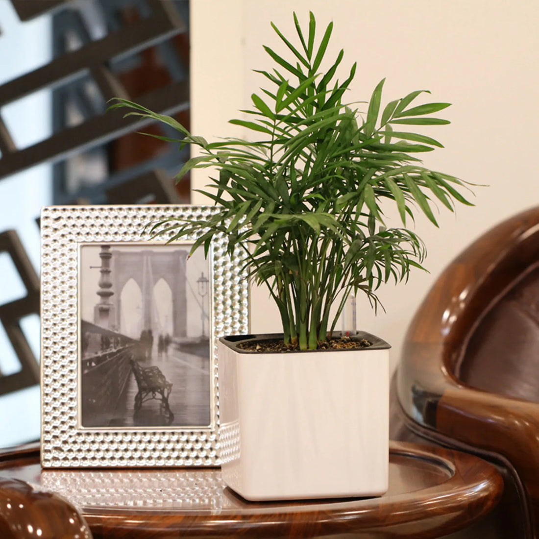 Self Watering Planter White Flower Pot with Water