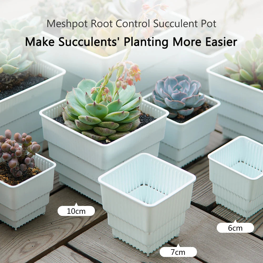 6 Pack Square Succulent Pots - Air Prunning Plastic Planters for Cactus
