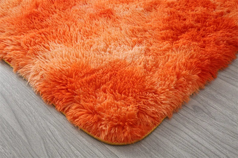 Premium Fluffy Area Rug Cute Shag Carpet Extra Soft and Shaggy Carpets
