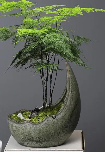 Rhinoceros Horn Shape Ceramic Flower Pot Green Plant Pot