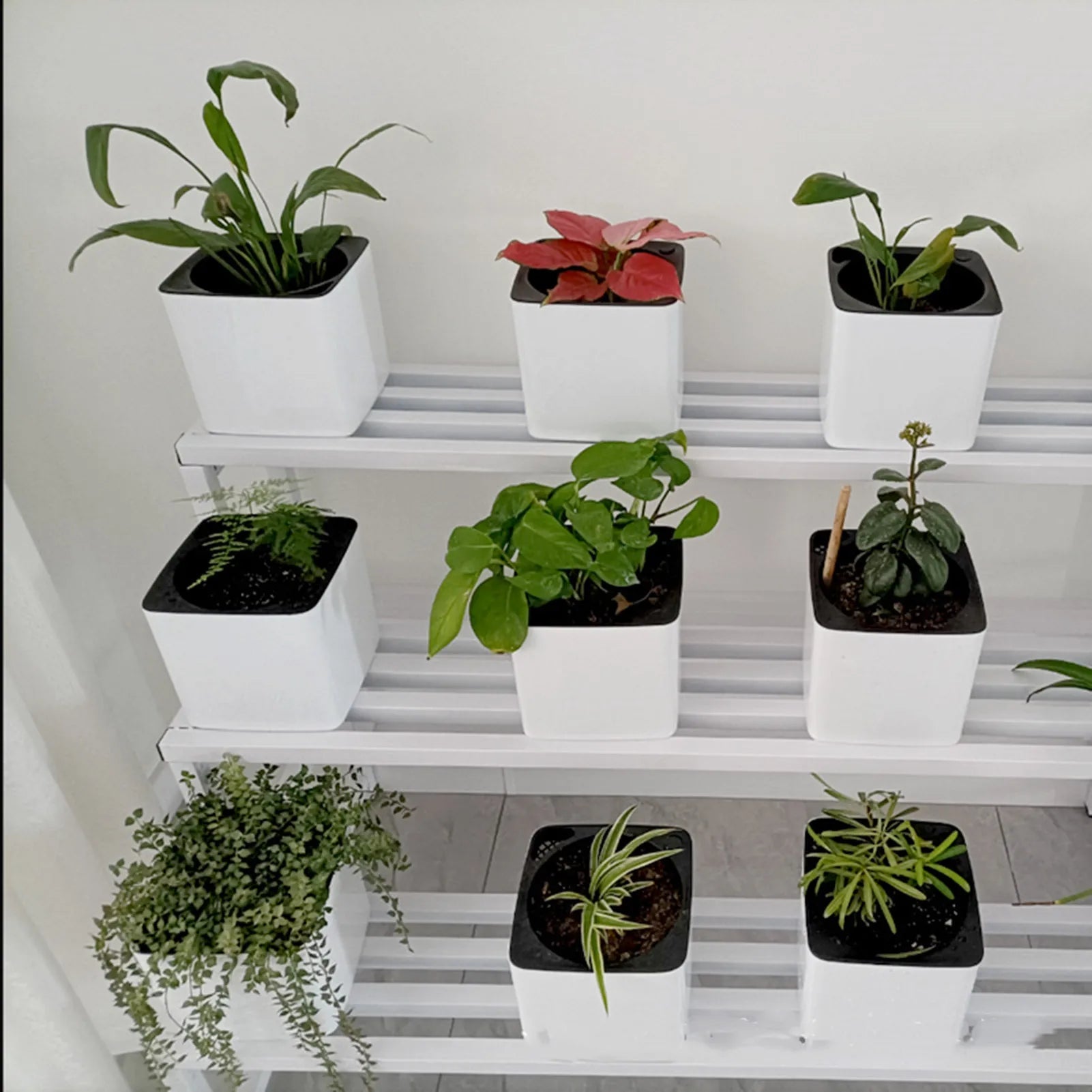 Self Watering Planter White Flower Pot with Water