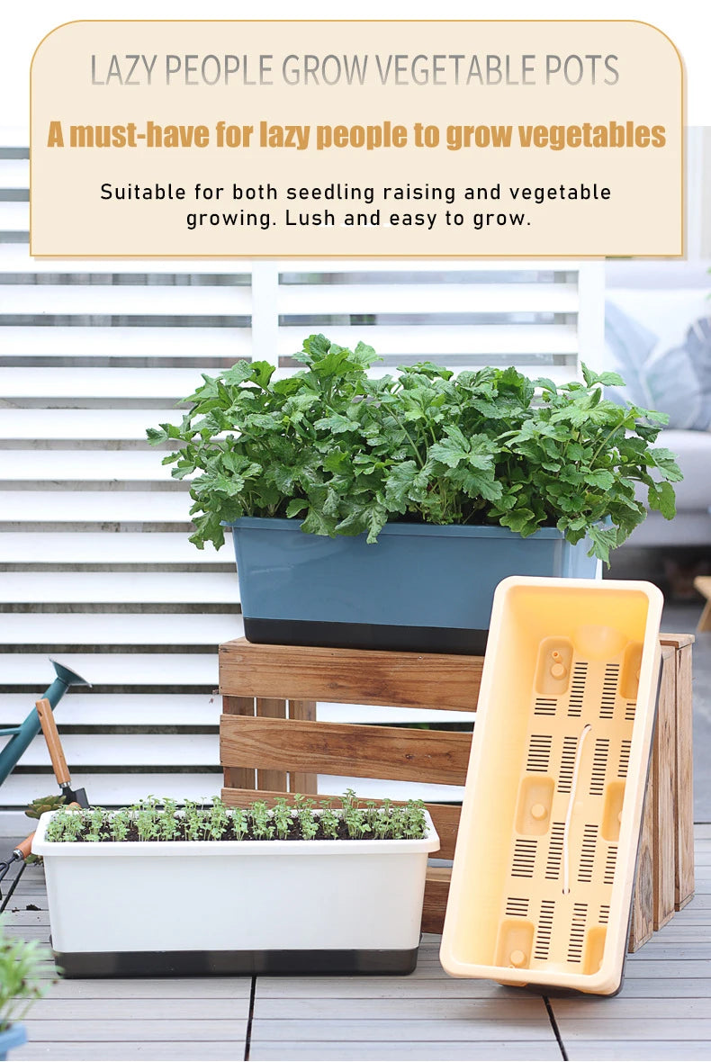 Second Generation Thickened Hollen Pot