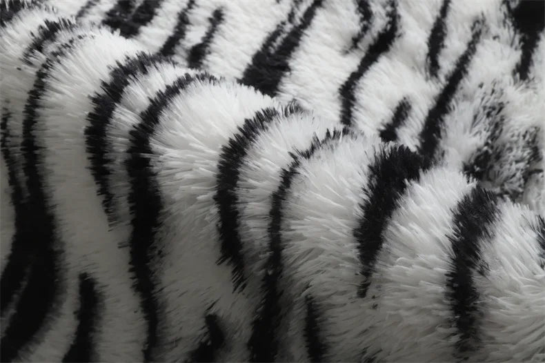 Premium Fluffy Area Rug Cute Shag Carpet Extra Soft and Shaggy Carpets