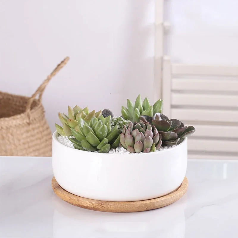 Round White Ceramic Succulent Planter Pot