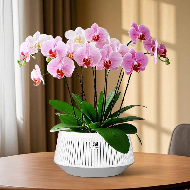 Meshpot Bonsai Pot with Saucer Plastic Flower Pot