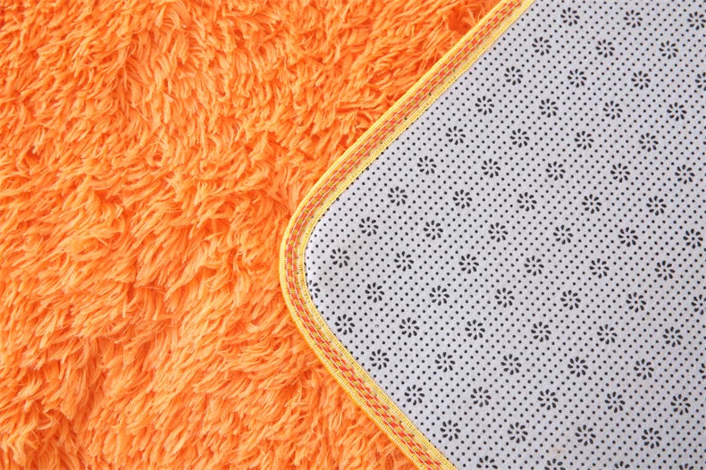 Premium Fluffy Area Rug Cute Shag Carpet Extra Soft and Shaggy Carpets