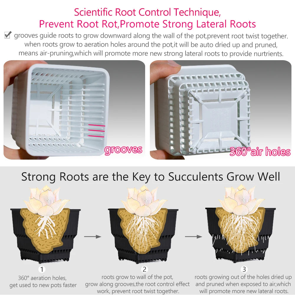 Meshpot Succulent Pots Succulent Planters with Tray