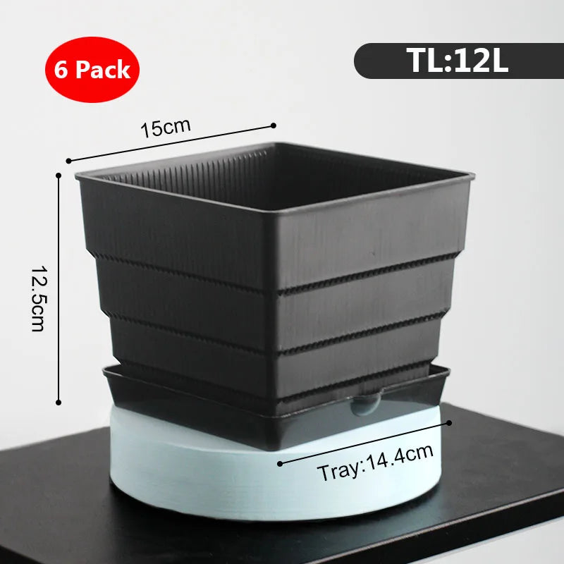 6 Pack Square Succulent Pots - Air Prunning Plastic Planters for Cactus