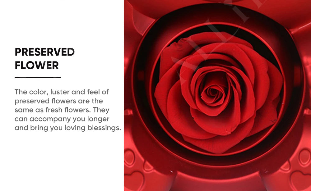 2025 Hot Eternal Rose Teddy Bear Gift Box with Custom Necklace Jewelry Set