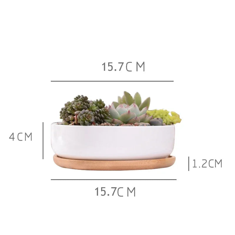 Round White Ceramic Succulent Planter Pot