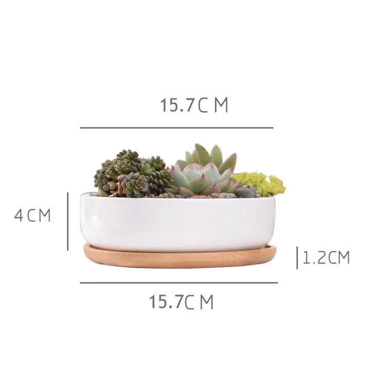 Round White Ceramic Succulent Planter Pot